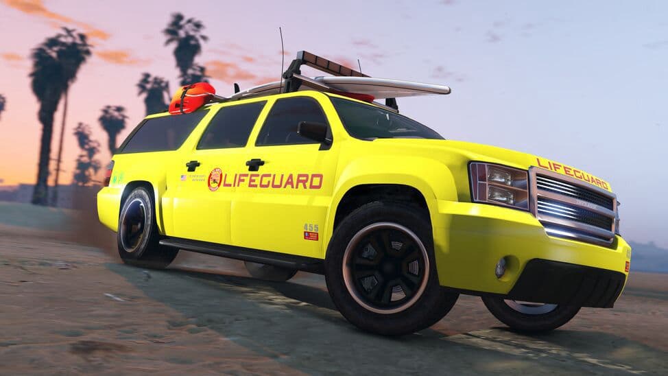 Lifeguard image